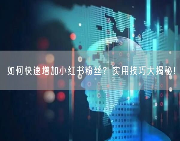 如何快速增加小红书粉丝？实用技巧大揭秘！