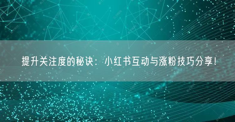 提升关注度的秘诀：小红书互动与涨粉技巧分