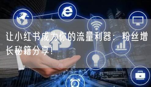 让小红书成为你的流量利器：粉丝增长秘籍分
