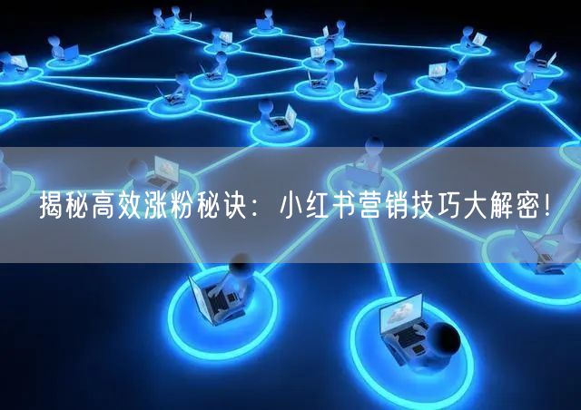 揭秘高效涨粉秘诀：小红书营销技巧大解密！